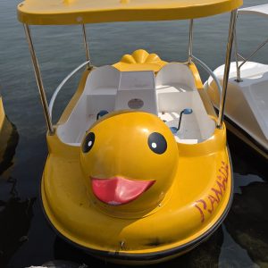 The Duck